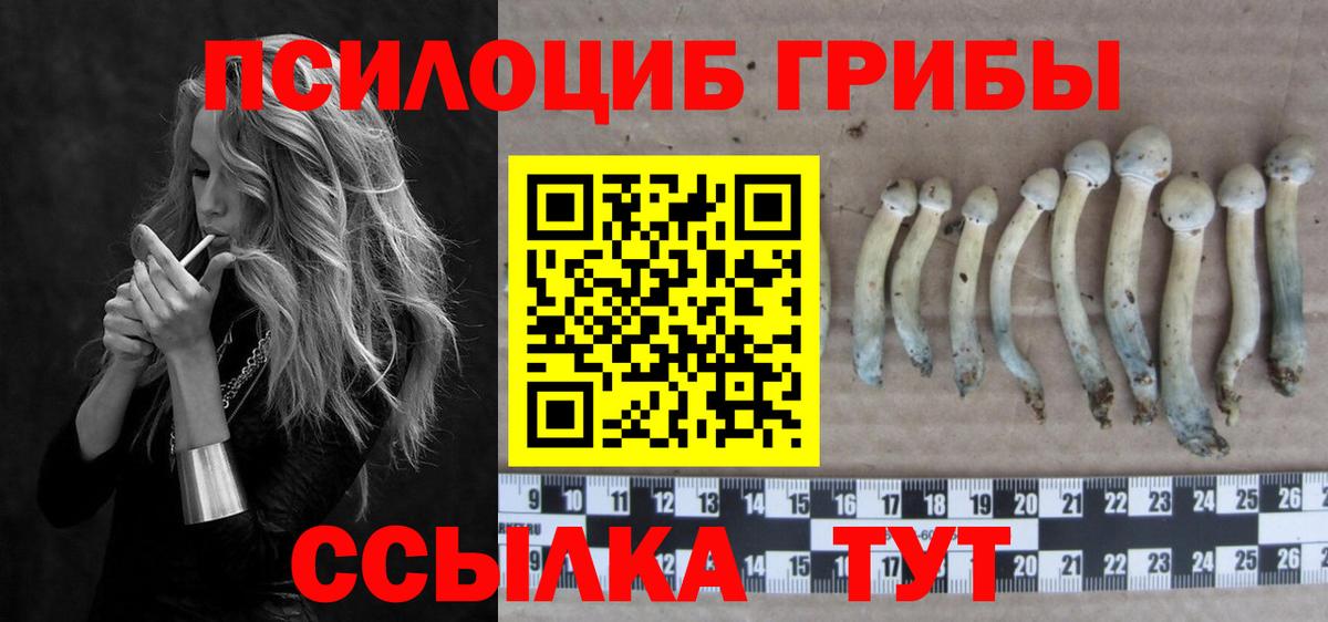 Псилоцибиновые грибы прущие грибы Артёмовский