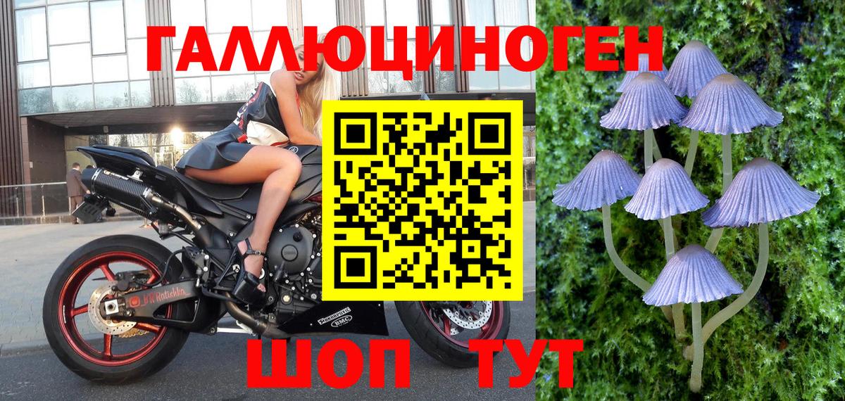 Псилоцибиновые грибы мицелий  Вход с VPN  Артёмовский 